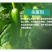 禾益25%乙嘧酚草莓花卉葡萄黄瓜甜瓜白粉病杀菌剂