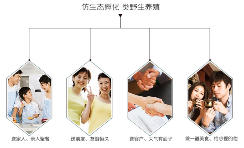 🔥24h接单中娃娃鱼批发供应基地一件代发规格齐全