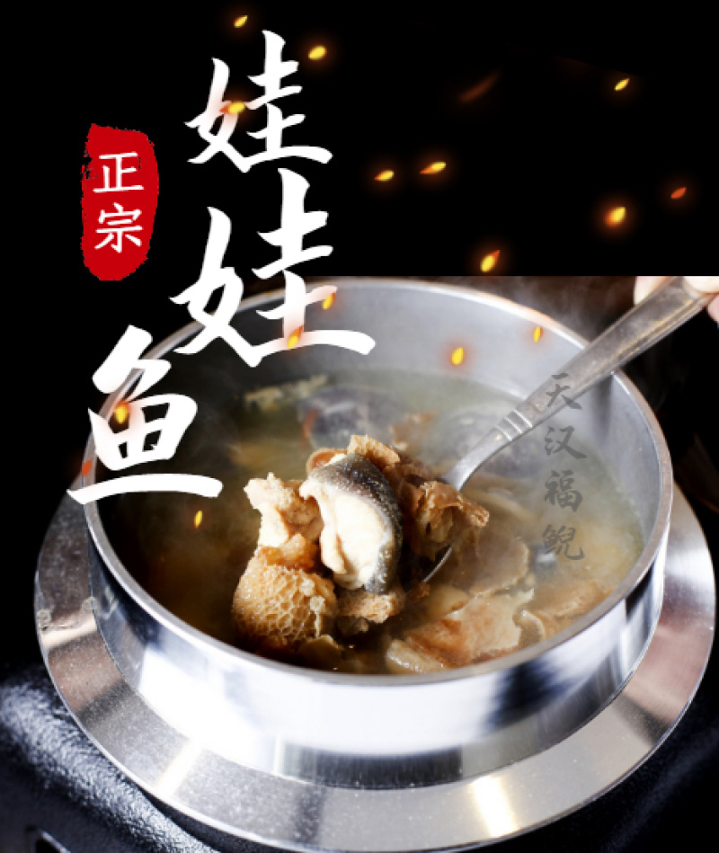 🔥24h接单中娃娃鱼批发供应基地一件代发规格齐全