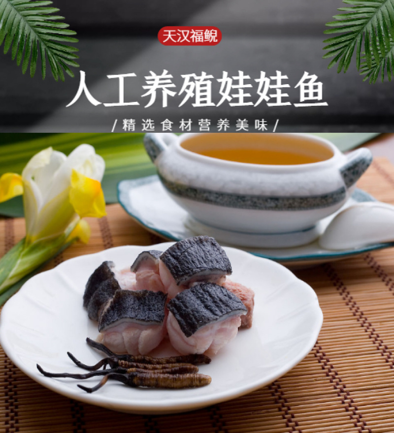 🔥24h接单中娃娃鱼批发供应基地一件代发规格齐全