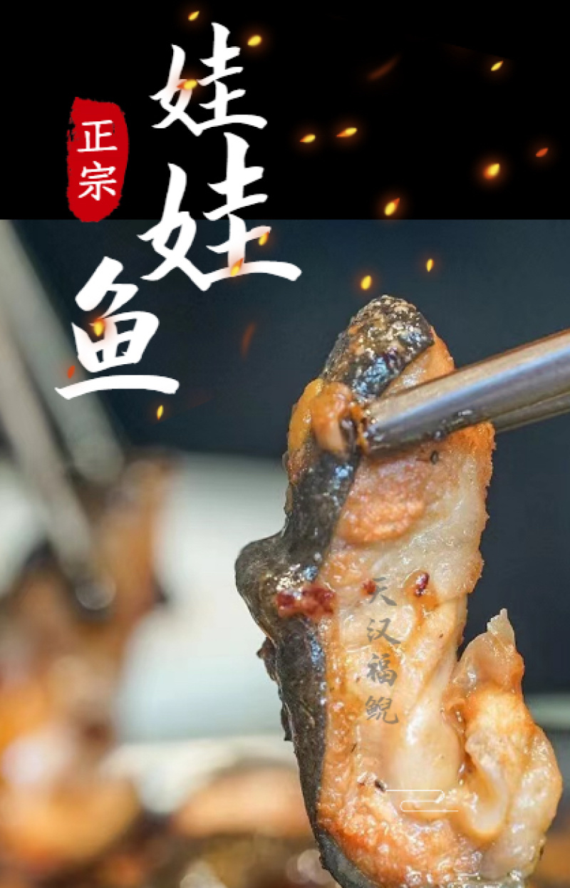 🔥24h接单中娃娃鱼批发供应基地一件代发规格齐全