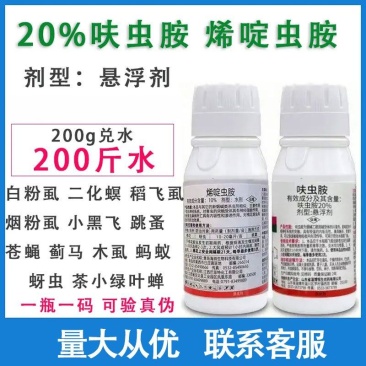烯啶虫胺飞虱粉虱西红柿辣椒茄子黄瓜粉虱杀虫剂
