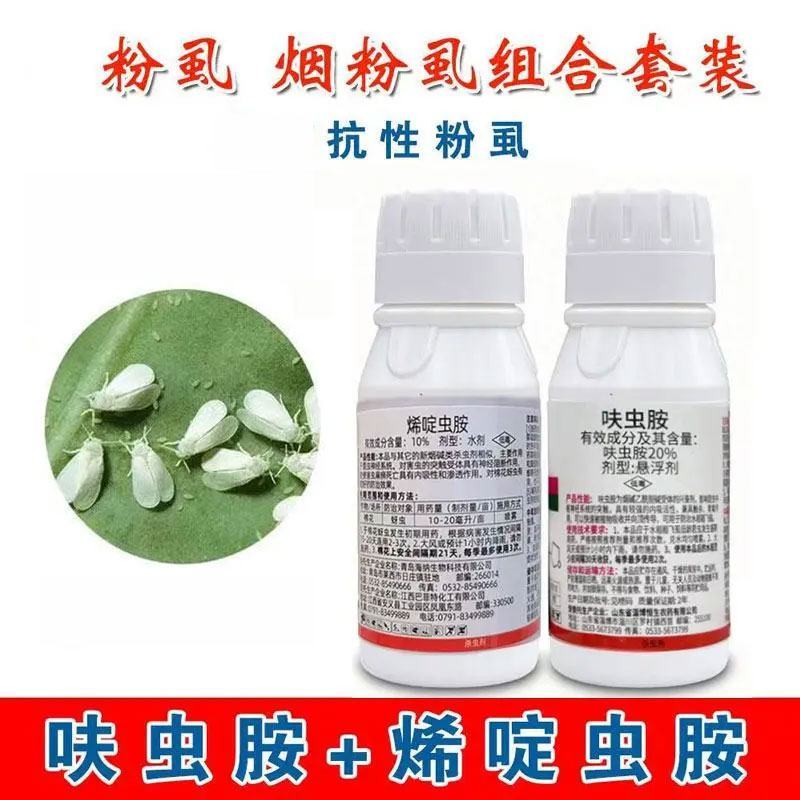 烯啶虫胺飞虱粉虱西红柿辣椒茄子黄瓜粉虱杀虫剂