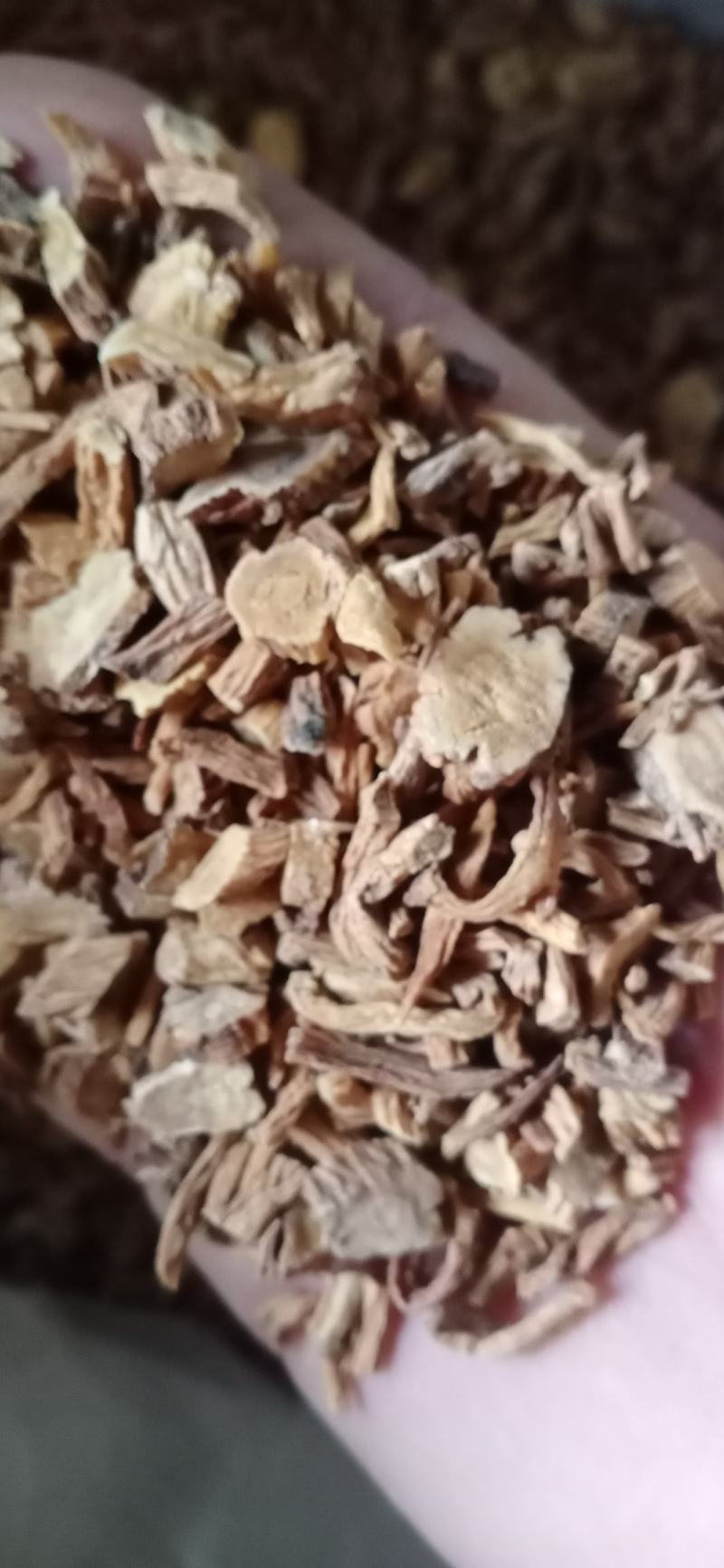 【秦艽】青海秦艽.产地一手货源大货供应规格齐全量大优惠