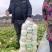 大白菜，有现货，货亮。
