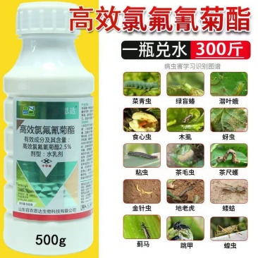 2.5%5%氯氟氰菊酯青虫蚜虫玉米螟地下害虫杀虫剂