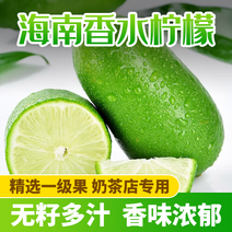 海南香水柠檬