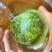 毛尖茶信阳毛尖明前茶沫芽尖断芽绿茶500g原产信阳绿茶