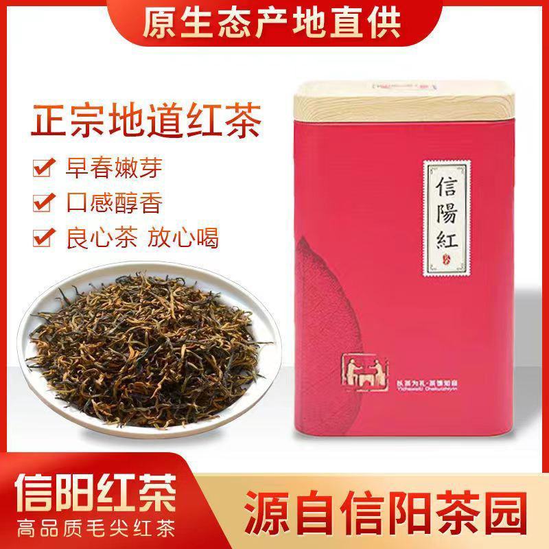毛尖茶红茶早春嫩芽口感醇香高品质毛尖红茶