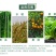 沪联赢彩33.5%喹啉铜霜霉病细菌角斑病溃疡病杀菌剂