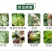 沪联赢彩33.5%喹啉铜霜霉病细菌角斑病溃疡病杀菌剂