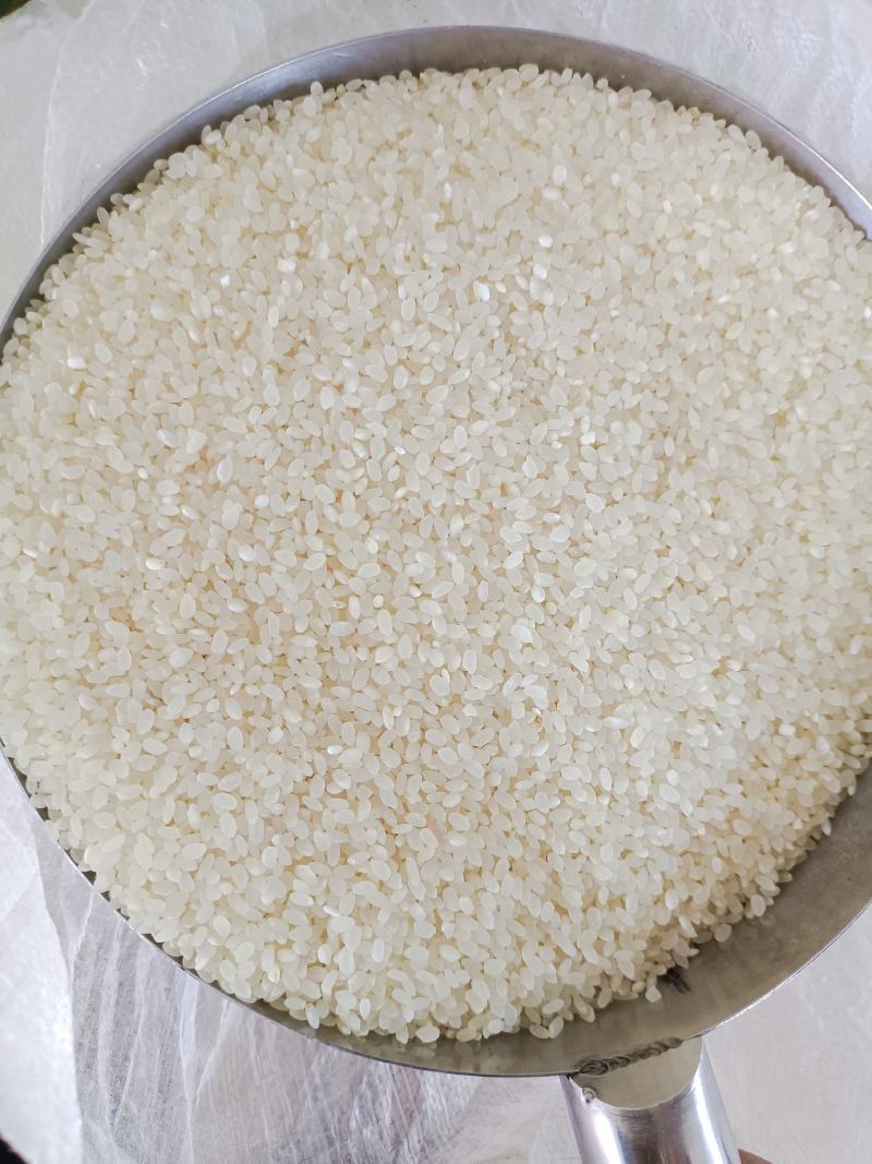 昆明金源良仓大米