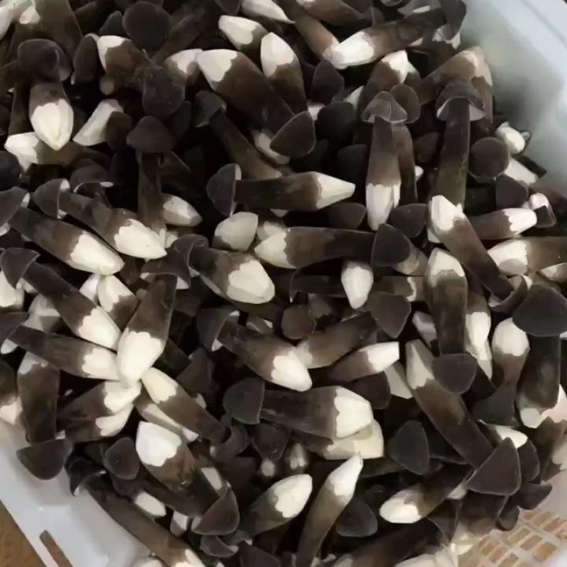 慧益种植基地直发，新鲜到家，每天有货发全国各地，一件可发