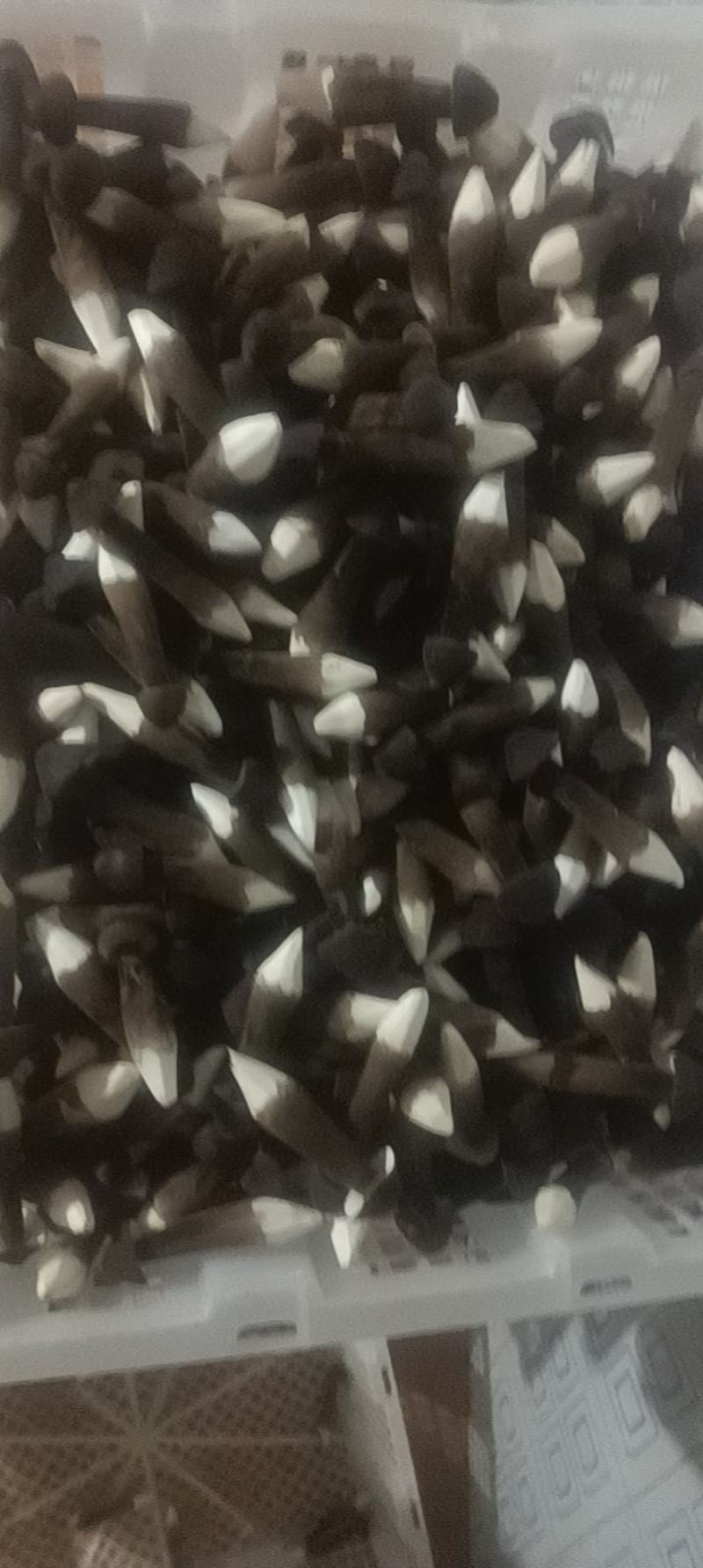慧益种植基地直发，新鲜到家，每天有货发全国各地，一件可发