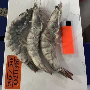 大虾，海鲜，白虾20-30规格4斤装净3.5左右盐冻包邮