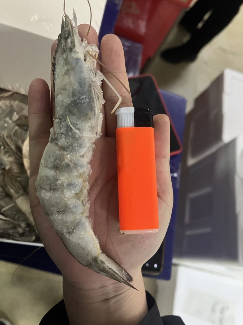 大虾，海鲜，白虾20-30规格4斤装净3.5左右盐冻包邮