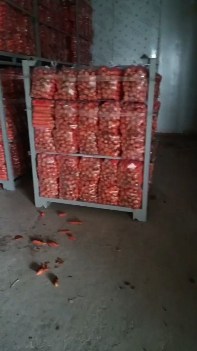 开封精品水洗胡萝卜，中条，小条开封产地直发，诚信经营，