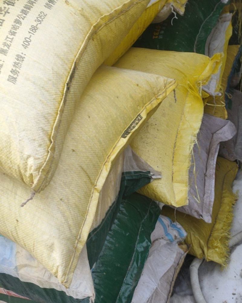 黄豆，蛋白含量40%水分13.1%