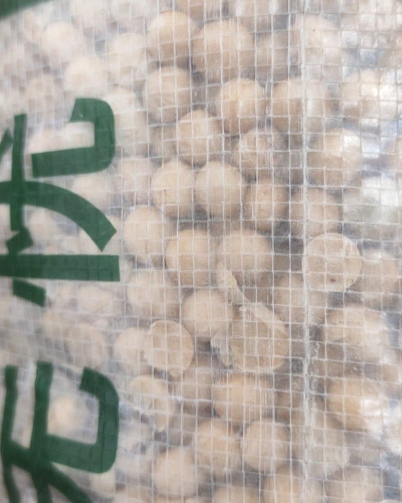 黄豆，蛋白含量40%水分13.1%