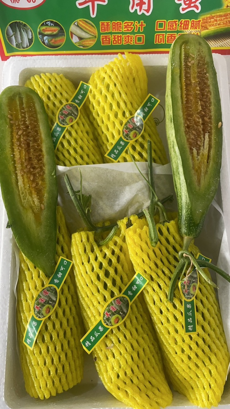 羊角蜜甜产地直发1⃣️件代发，老电商，设备齐全，工人稳定