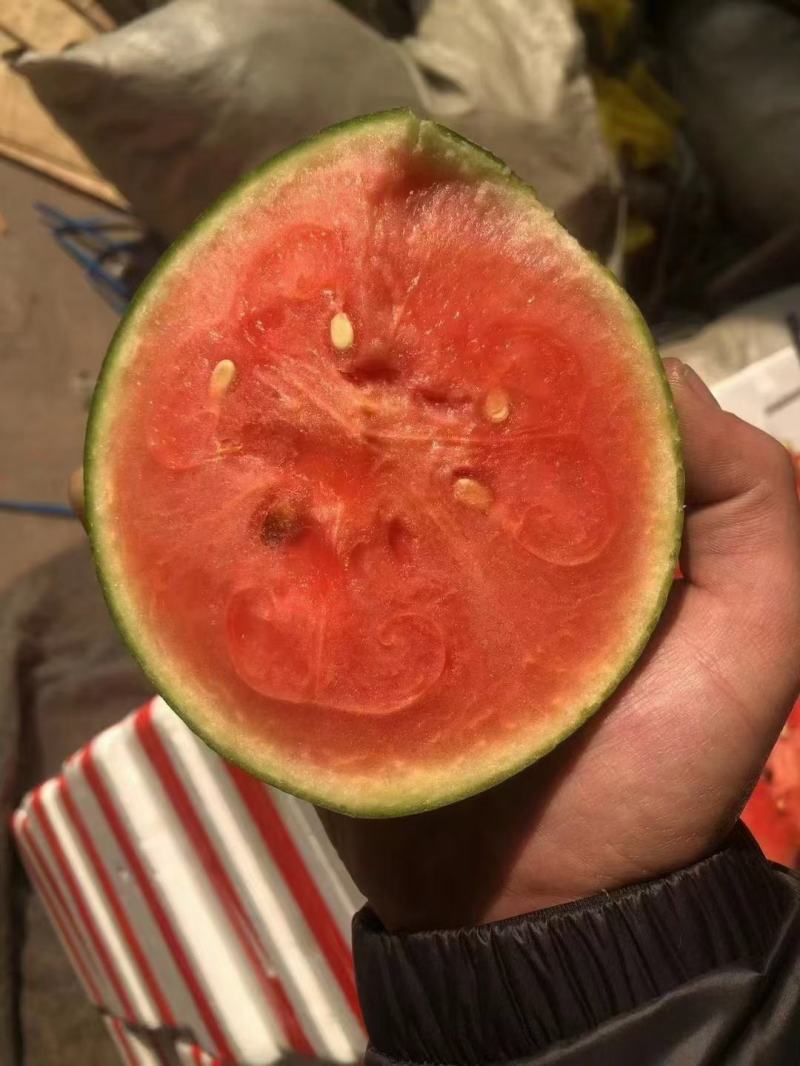 精品小西瓜