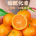 广西精品沙糖橘，纯甜无渣产地供货，可视频定货，货源充足。