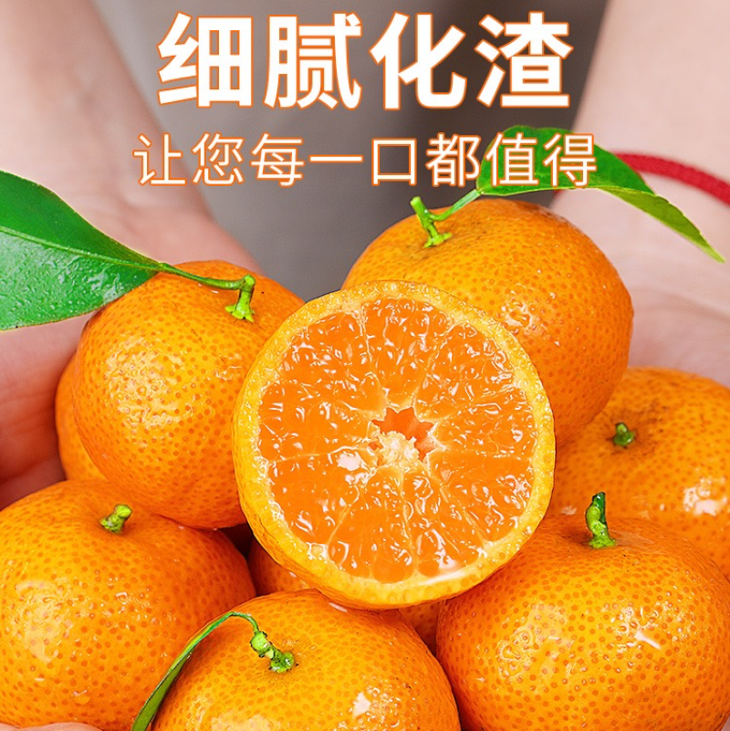 广西精品沙糖橘，纯甜无渣产地供货，可视频定货，货源充足。