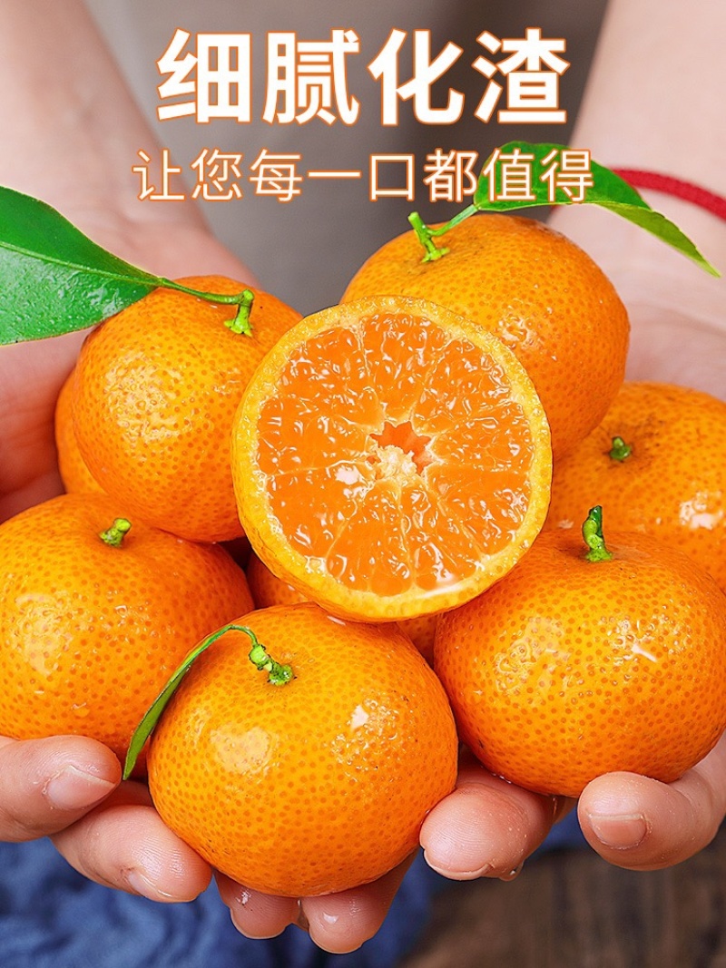 广西精品沙糖橘，纯甜无渣产地供货，可视频定货，货源充足。