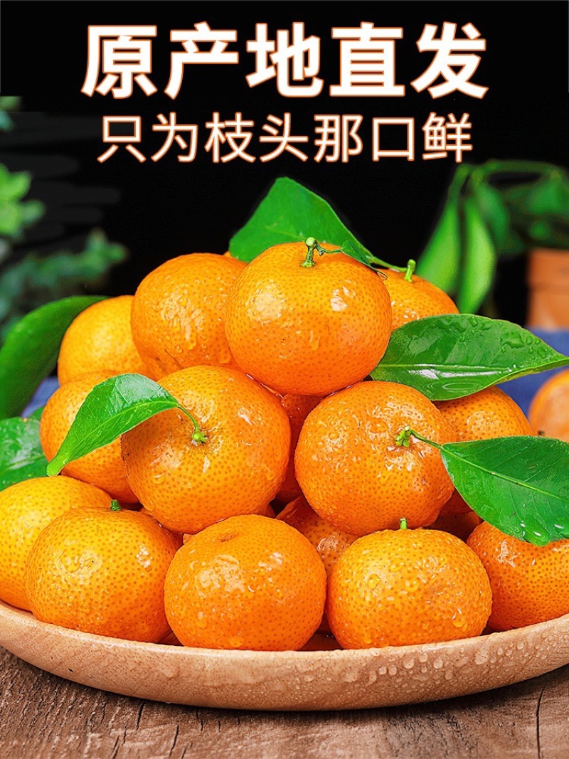 广西精品沙糖橘，纯甜无渣产地供货，可视频定货，货源充足。