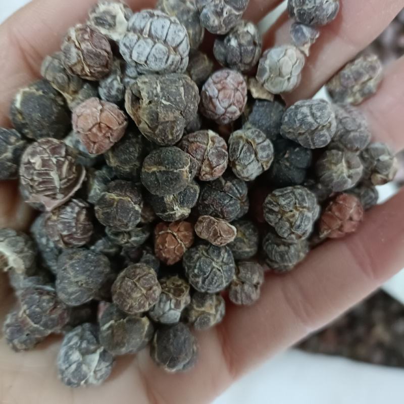 精选壳砂砂仁各种等级砂仁产地直供中药材批发欢迎选购量大从优