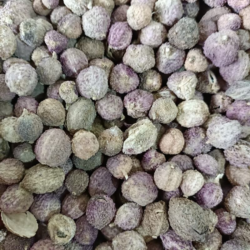 精选壳砂砂仁各种等级砂仁产地直供中药材批发欢迎选购量大从优