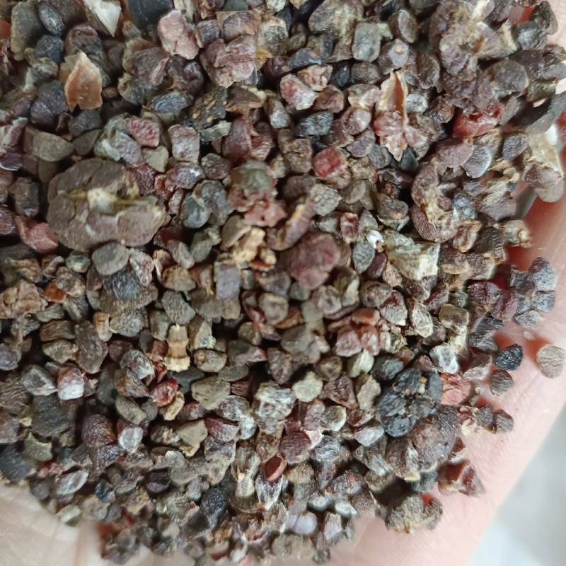 精选壳砂砂仁各种等级砂仁产地直供中药材批发欢迎选购量大从优