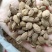 精选壳砂砂仁各种等级砂仁产地直供中药材批发欢迎选购量大从优