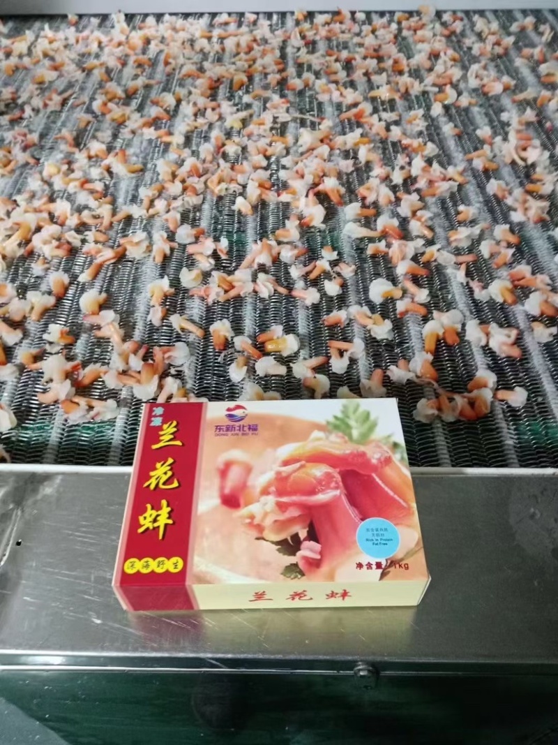 冰山蚌新鲜兰花蚌脆爽冰山蚌北极贝刺身寿司火锅捞汁食材