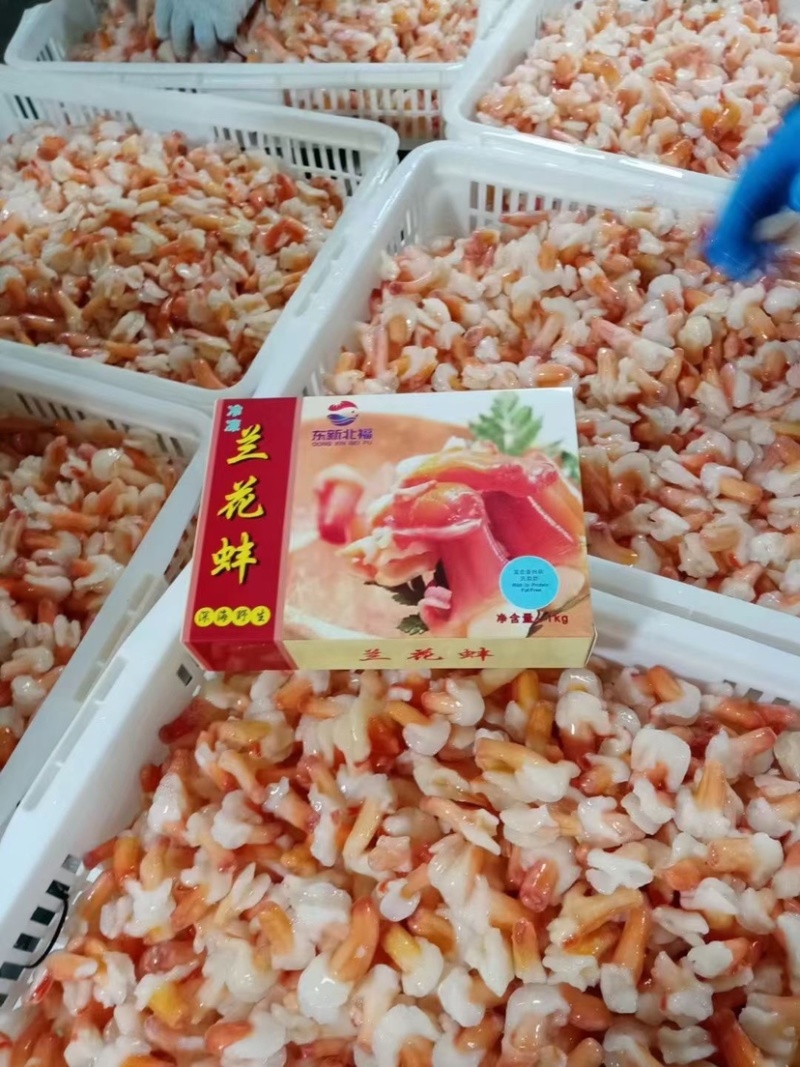 冰山蚌新鲜兰花蚌脆爽冰山蚌北极贝刺身寿司火锅捞汁食材