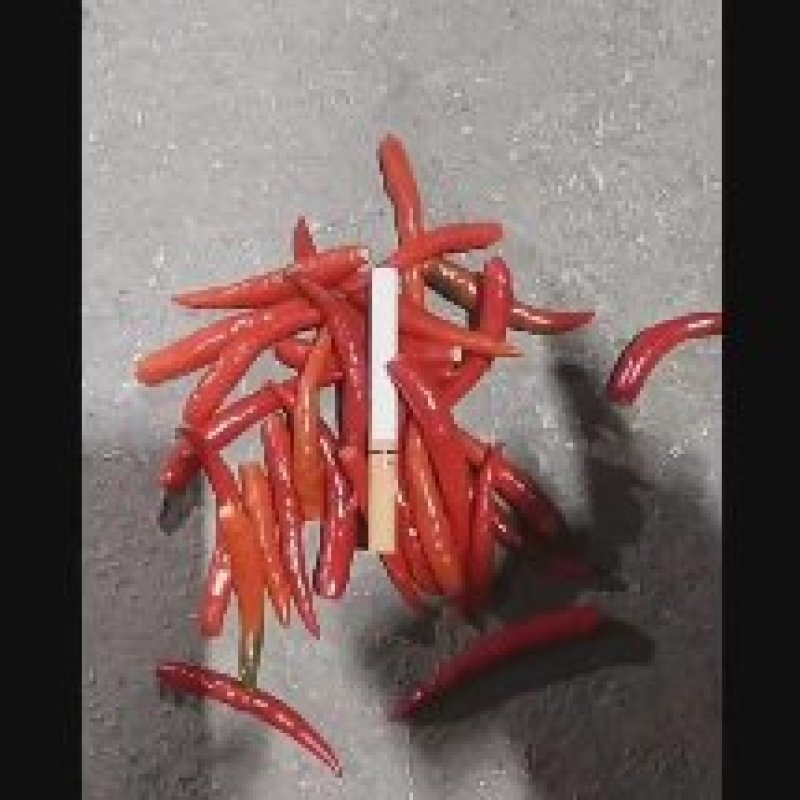 朝天椒