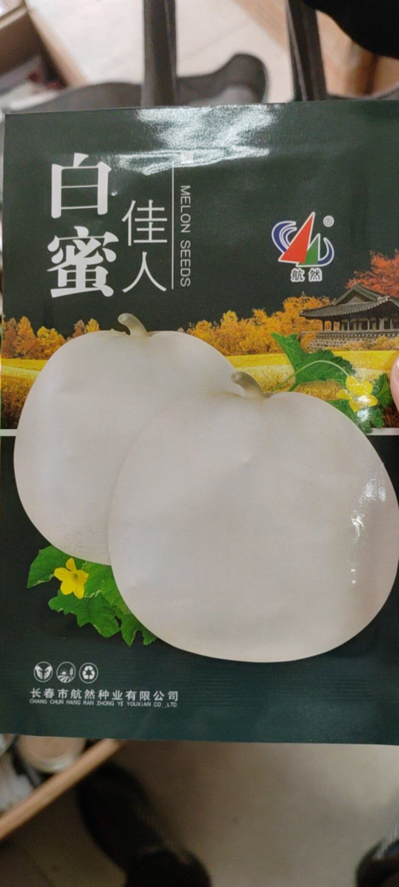 甜瓜种子薄皮甜瓜种子（科士达产品）