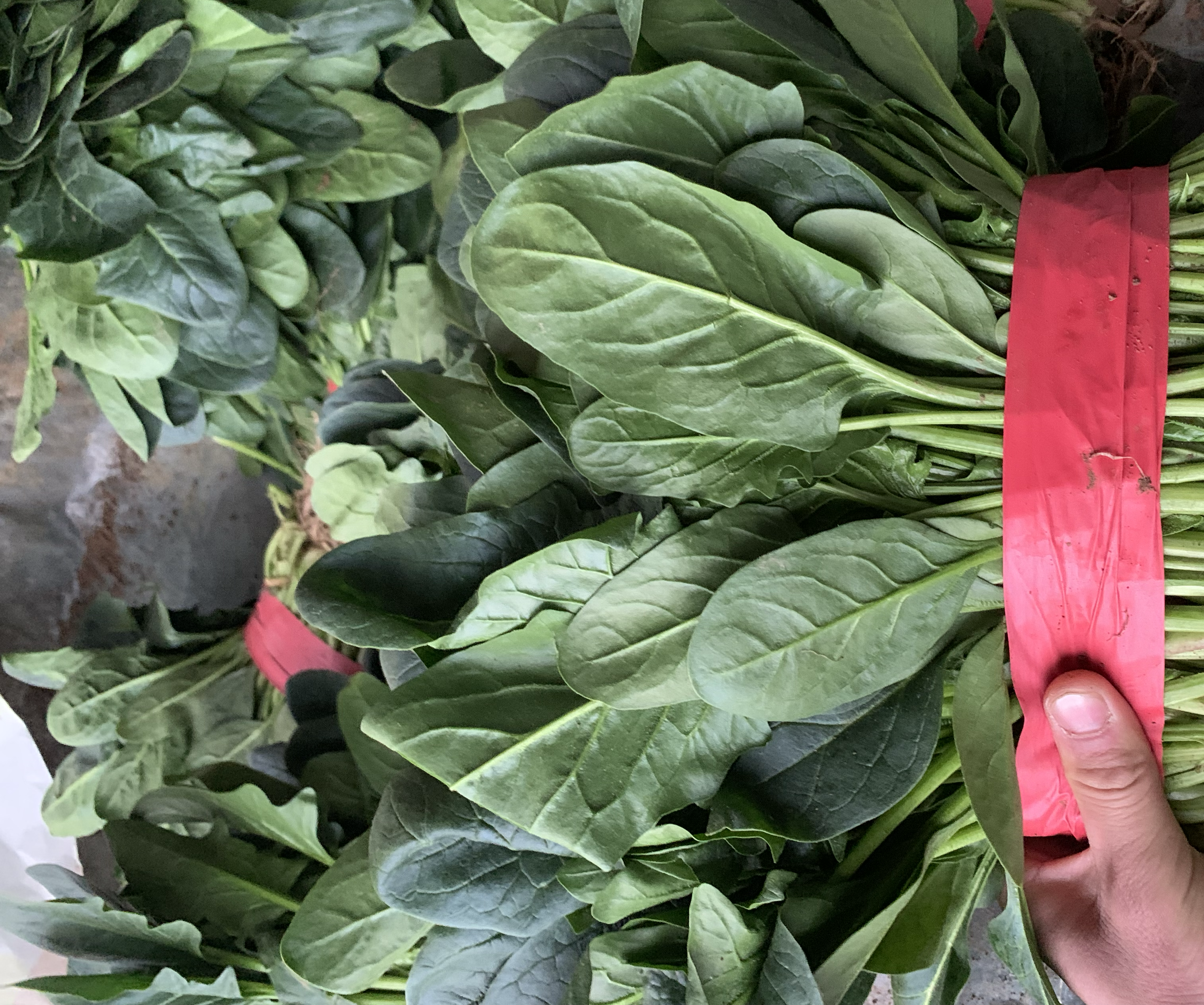 大叶菠菜烹饪图