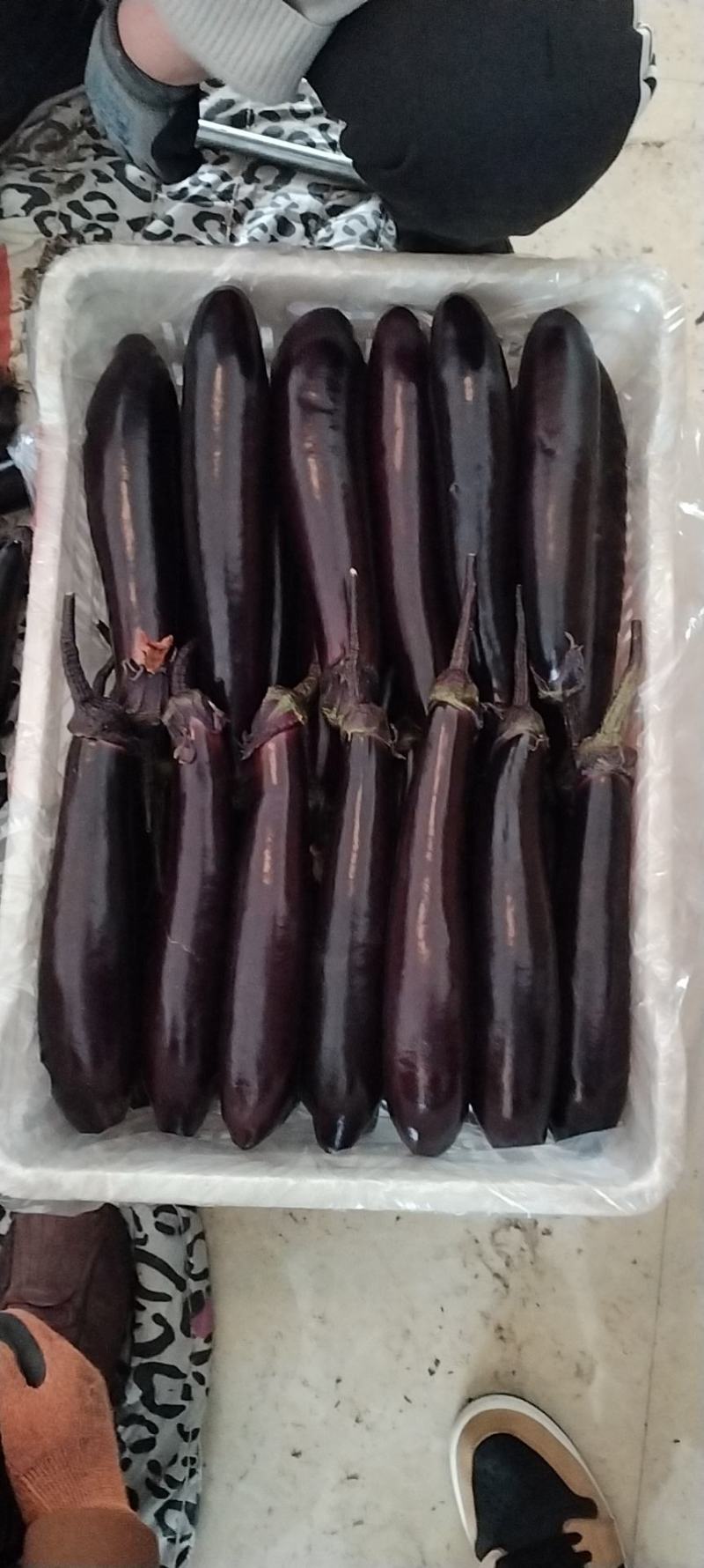 产地精品蔬菜