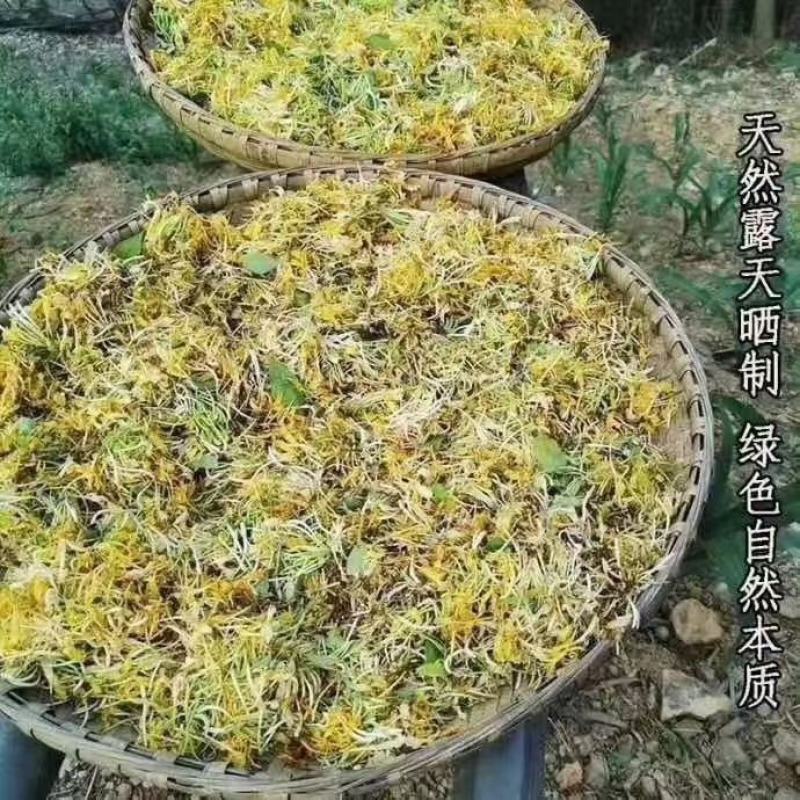 大山里的纯野生金银花