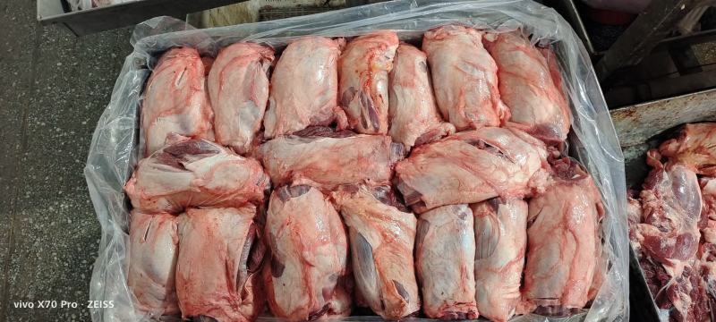 母猪前健鲜冻猪副产品