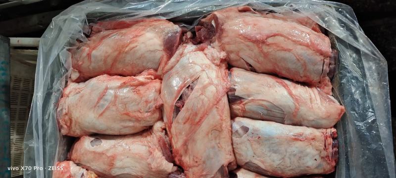 母猪前健鲜冻猪副产品