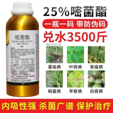 25%嘧菌酯叶斑病炭疽病白粉病锈病霜霉病稻瘟病果树杀菌剂