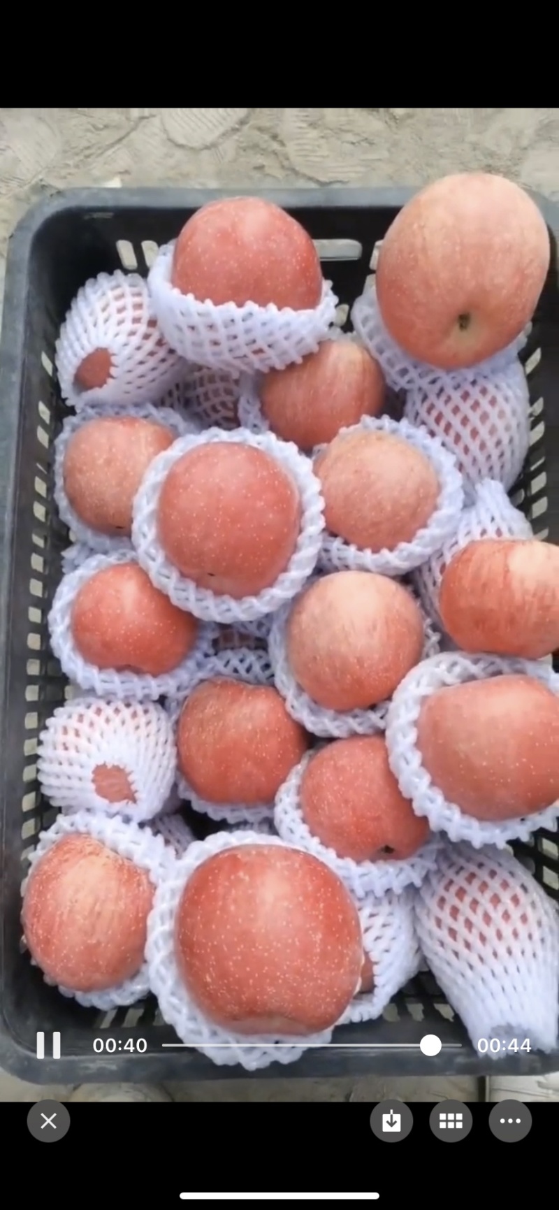 新疆阿克苏苹果、果肉细腻、甘甜味好、汁多无渣。