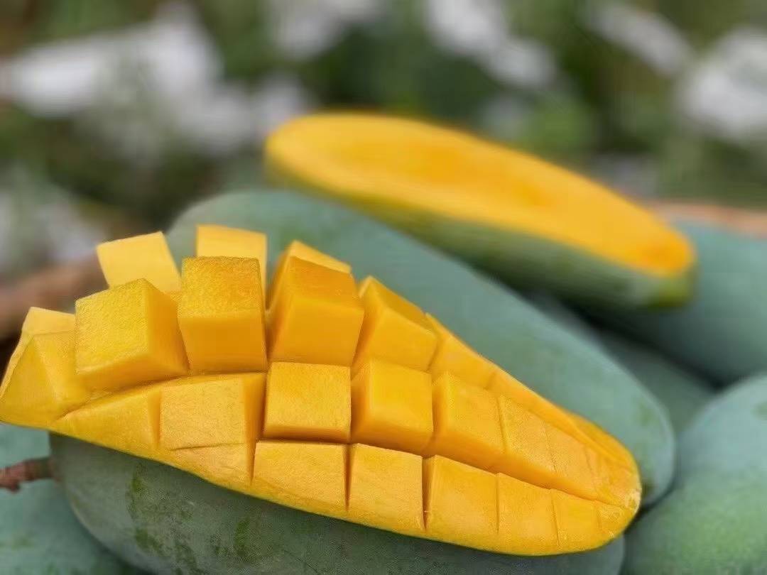 如何挑选成熟的芒果