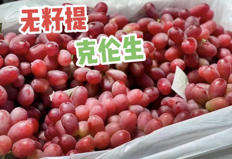 克伦生葡萄口味甜中带着微微的酸、没有籽实。