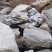 太湖石，英石