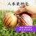 人参果种子四季菜园庭院阳台盆栽高产人参果奶香黄肉