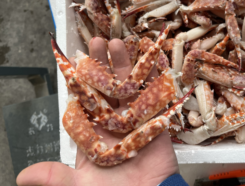 红毛蟹钳，蟹脚，红毛蟹。
