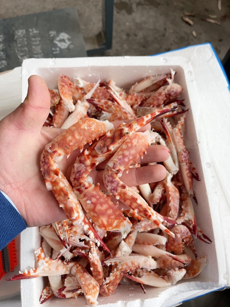红毛蟹钳，蟹脚，红毛蟹。